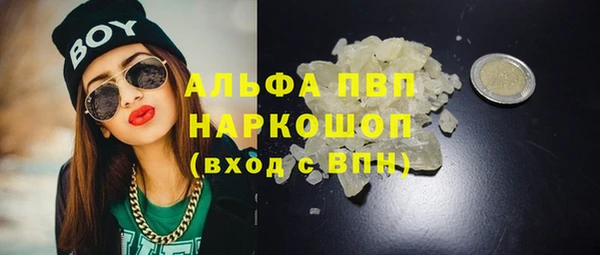 хмурый Абаза