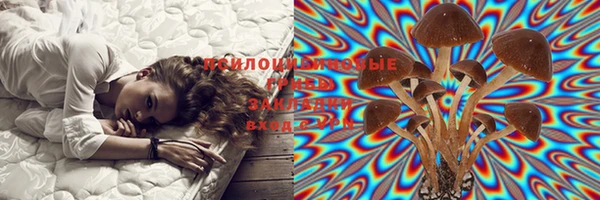 таблы Абинск