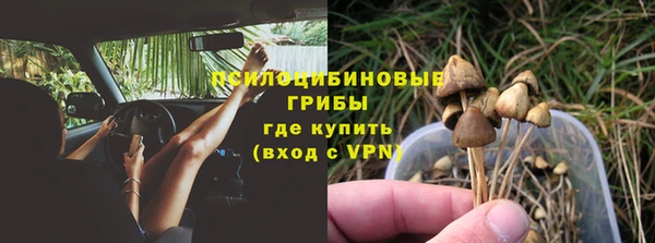 хмурый Абаза