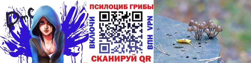 Галлюциногенные грибы Psilocybe KRAKEN ONION Инза